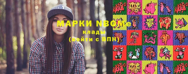 стафф Алексин