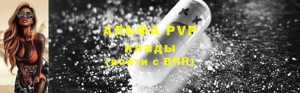 стафф Алексин