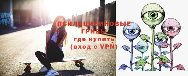 индика Алексеевка